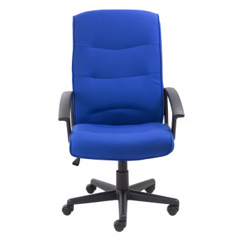 Canasta Ii Fabric Chair - Royal Blue