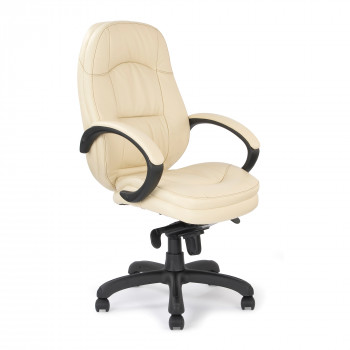 Brighton- Stylish Leather Faced Executive Armchair - Cream Brighton- Stylish Leather Faced Executive Armchair - Cream