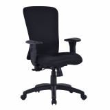 Fortis- Bariatric Managers Chair